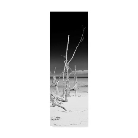 Philippe Hugonnard 'White Sand Beach 1' Canvas Art,16x47